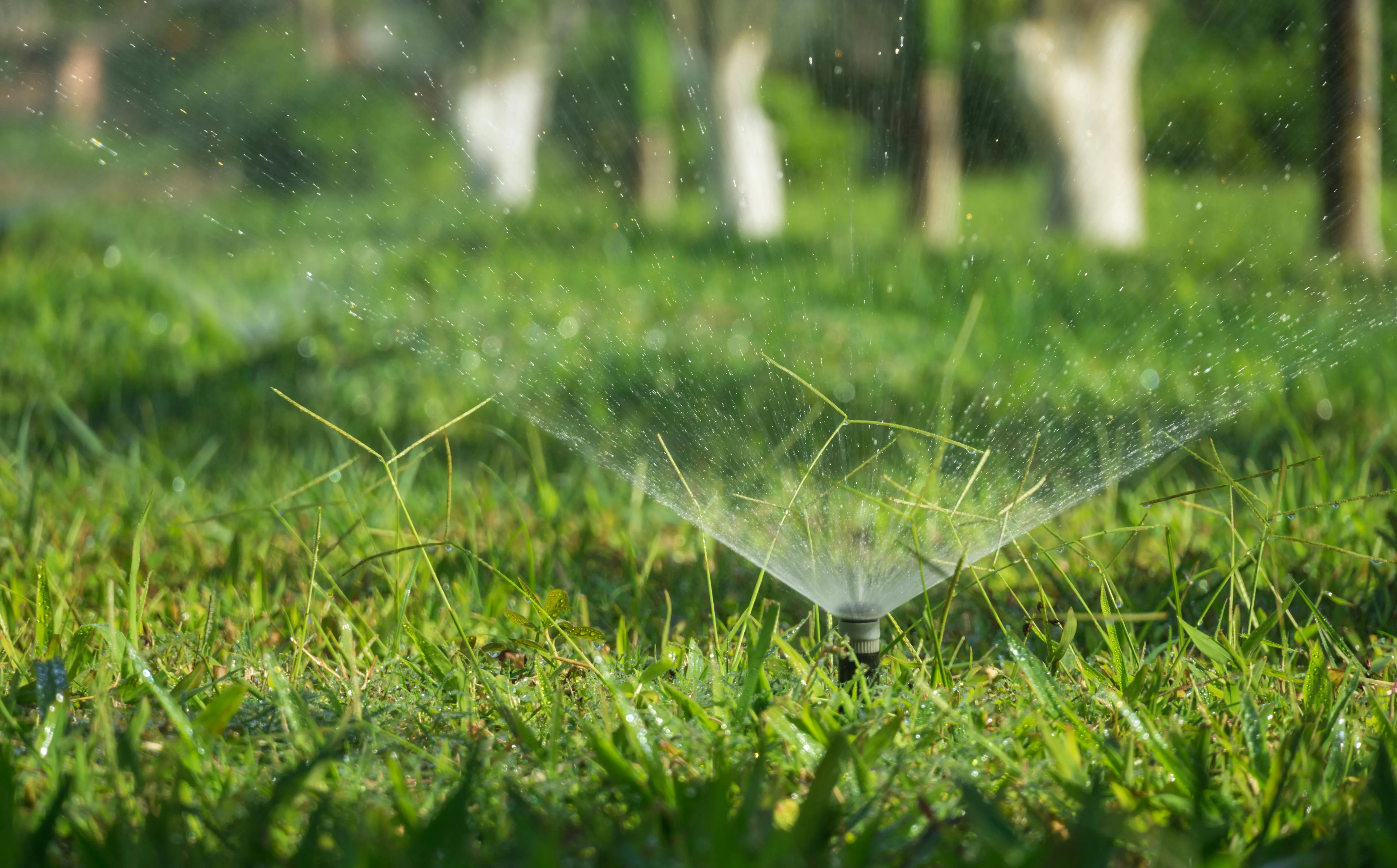 Sprinkler Systems